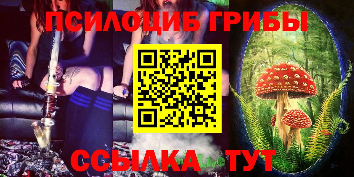 Галлюциногенные грибы GOLDEN TEACHER Советск