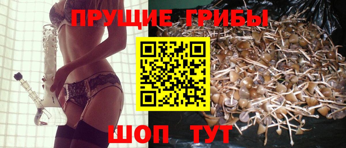 Советск  Псилоцибиновые грибы мухоморы  Вход с VPN 